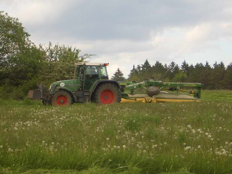 bilder/24_5_2005/fendt_716_4.jpg