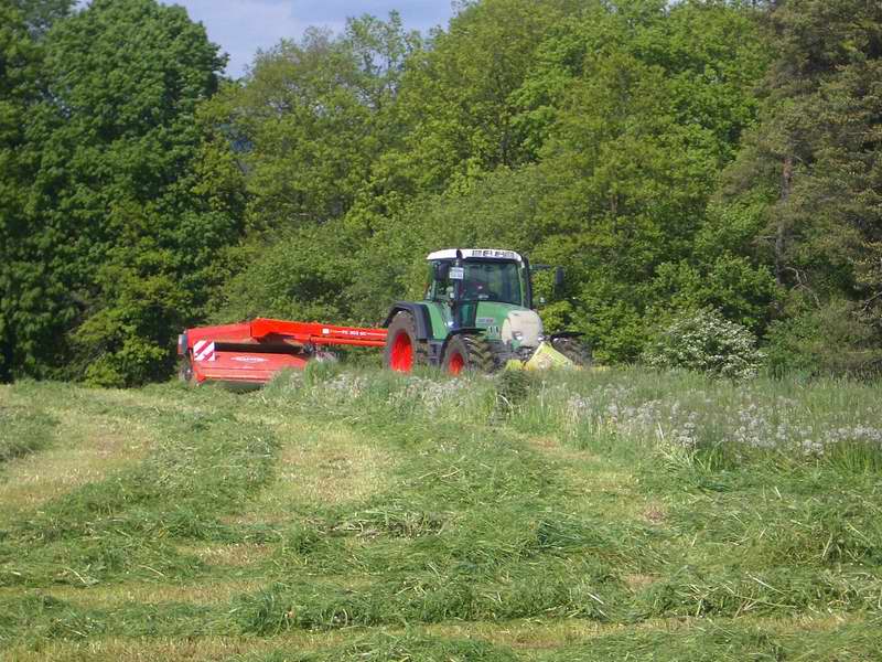 fendt_818_10.jpg