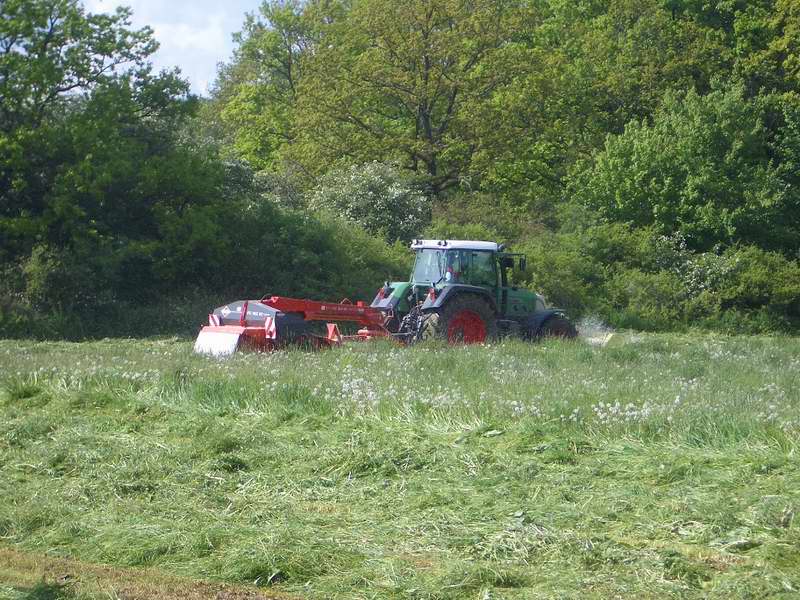 bilder/24_5_2005/fendt_818_5.jpg