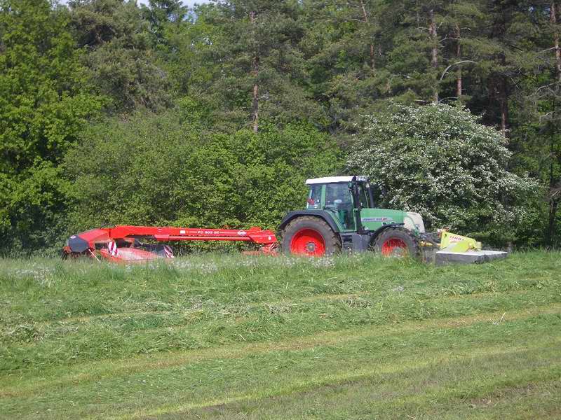 bilder/24_5_2005/fendt_818_6.jpg