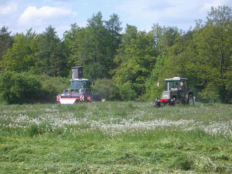 fendt_818_zt_323.jpg