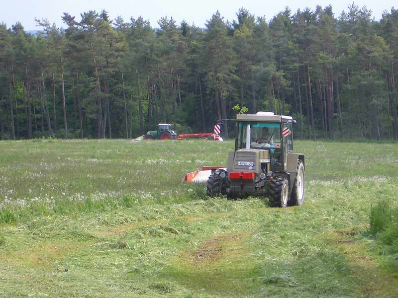 fendt_818_zt_323_3.jpg