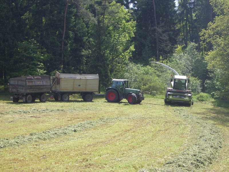 jaguar_fendt_514.jpg