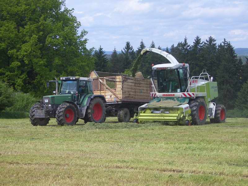 jaguar_fendt_514_11.jpg