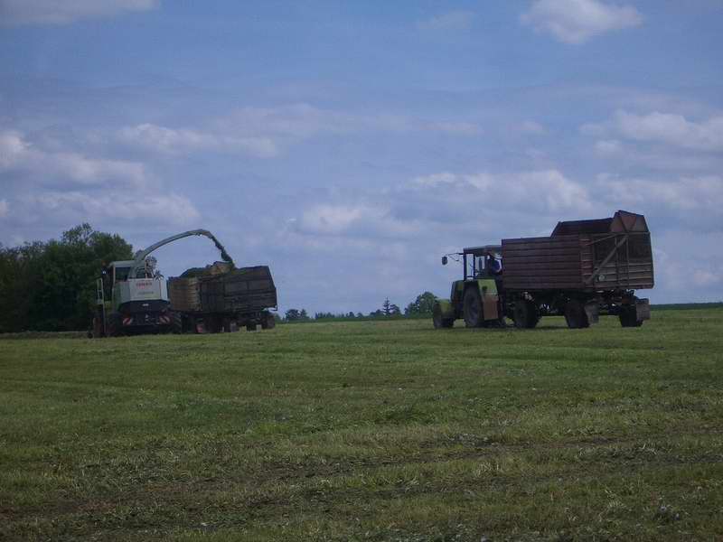 jaguar_fendt_514_zt_323.jpg