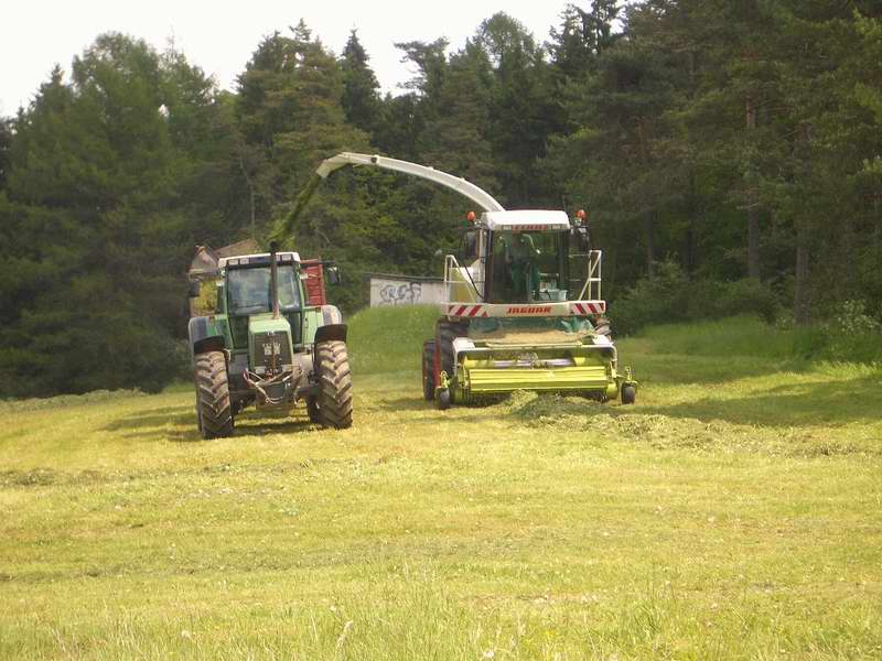 jaguar_fendt_824.jpg