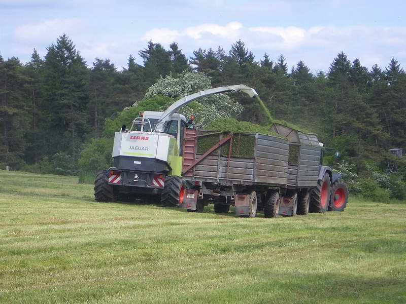 jaguar_fendt_824_16.jpg