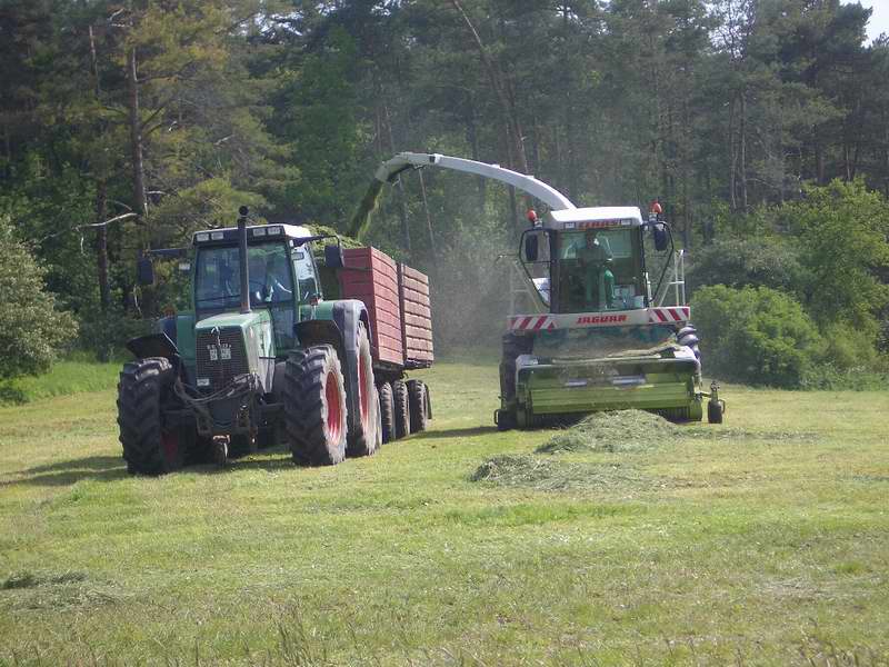 jaguar_fendt_824_22.jpg