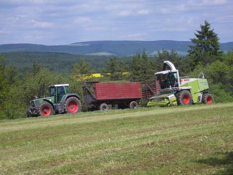 jaguar_fendt_824_5.jpg