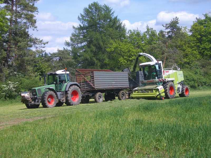 jaguar_fendt_824_6.jpg