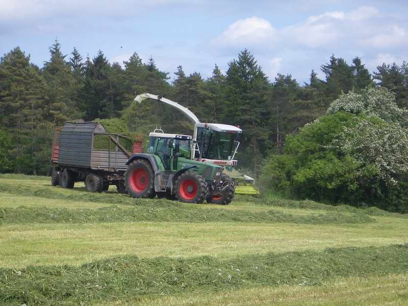 jaguar_fendt_824_9.jpg