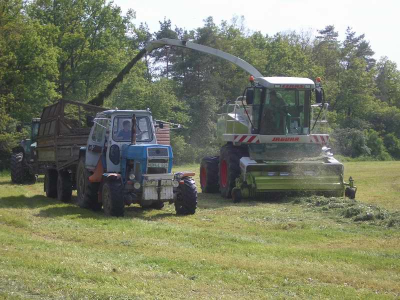 jaguar_fendt_824_zt_303_3.jpg