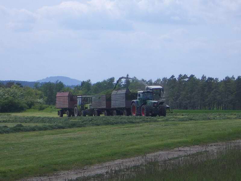 jaguar_fendt_824_zt_323_3.jpg