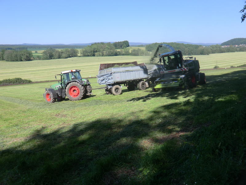 bilder/20_8_2003_1/fendt.jpg