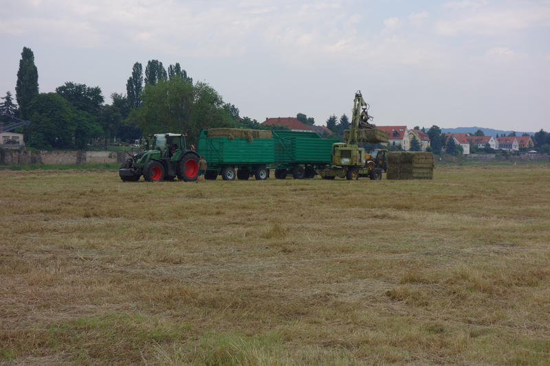 bilder/8_6_2004/2x_jaguar_fendt_zt_323.jpg