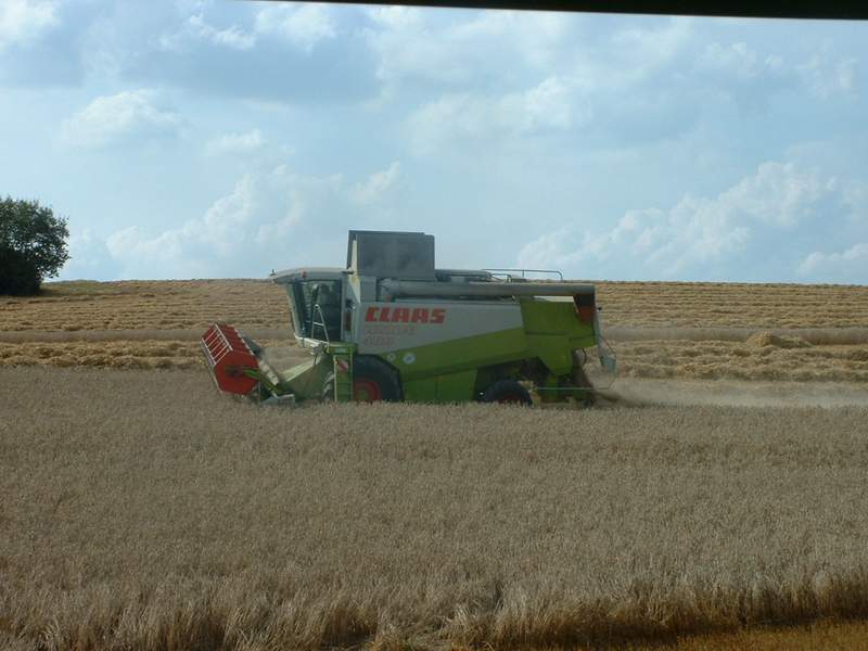 lexion_13.jpg