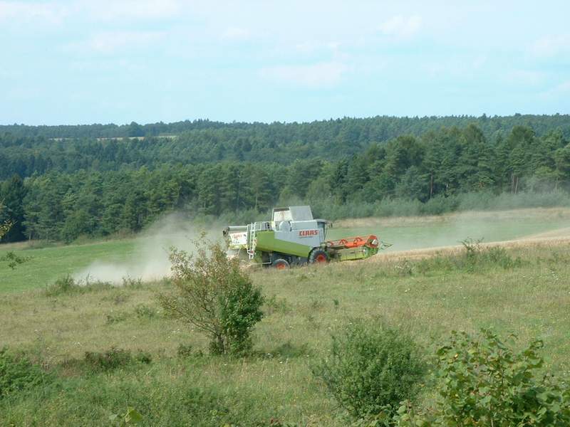 lexion_2.jpg