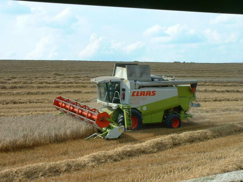 lexion_23.jpg