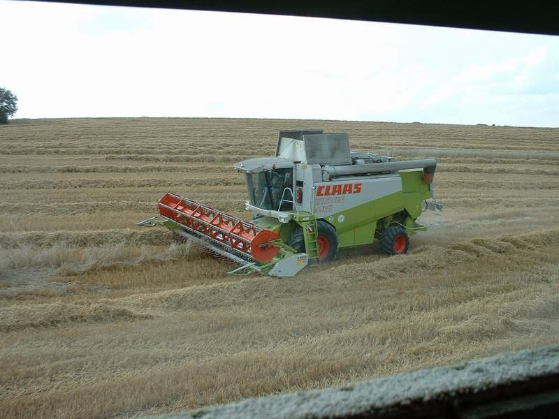 lexion_31.jpg