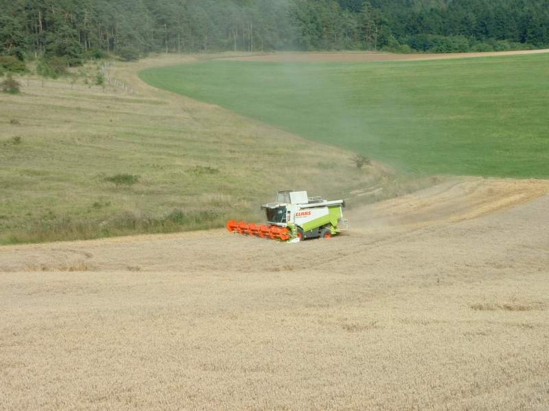 lexion_37.jpg