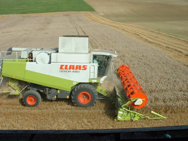 lexion_39.jpg