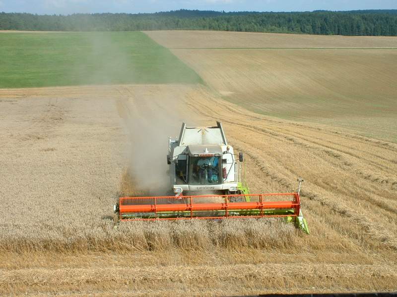 bilder/25_8_2002/lexion_47.jpg