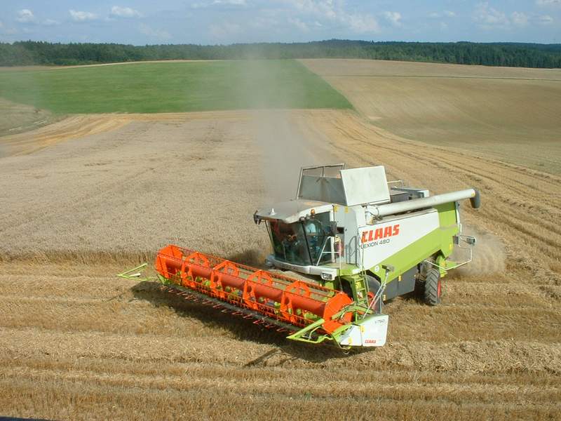 bilder/25_8_2002/lexion_48.jpg