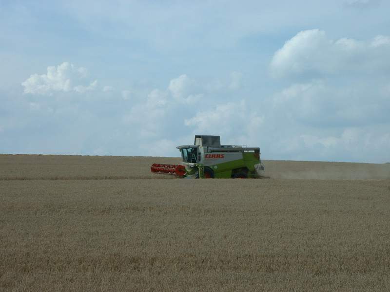 lexion_5.jpg