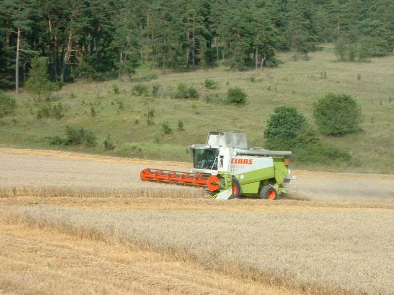 lexion_50.jpg