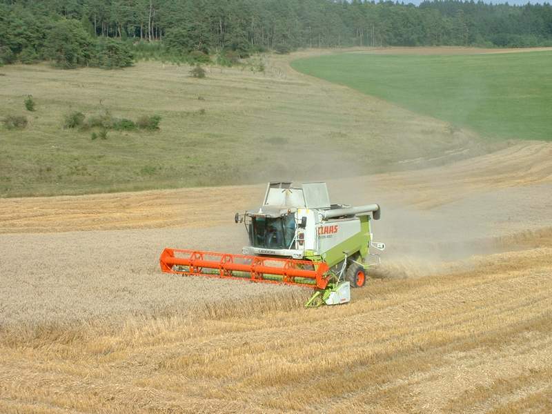 lexion_54.jpg