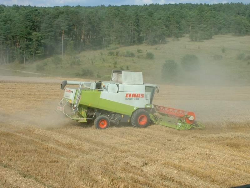 lexion_56.jpg