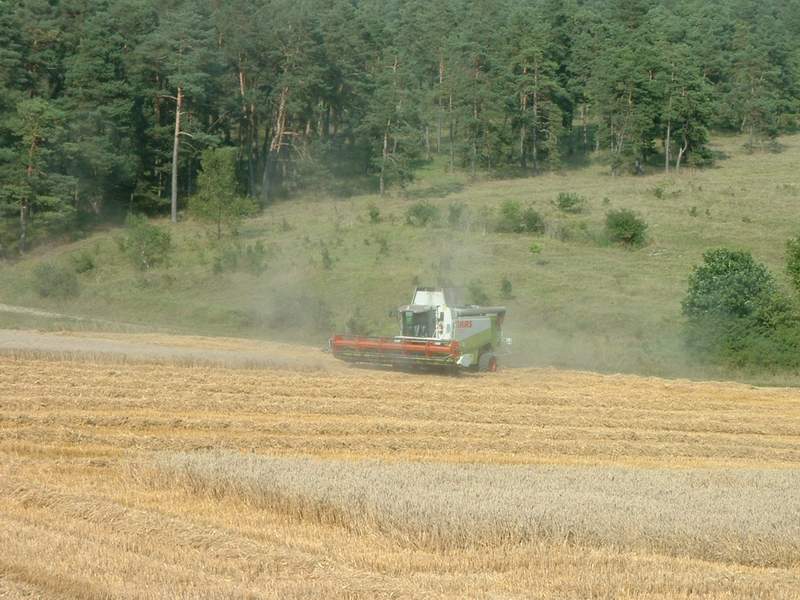 lexion_57.jpg