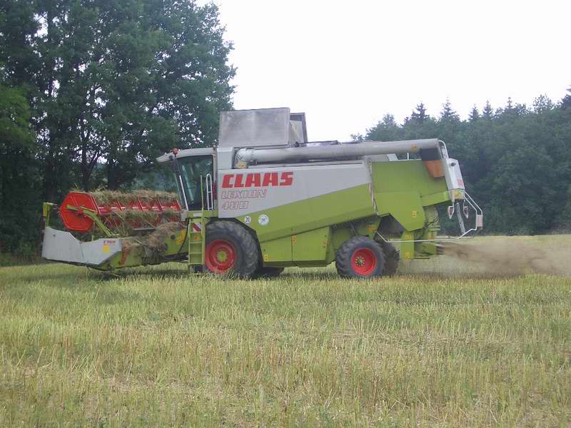 lexion_29.jpg