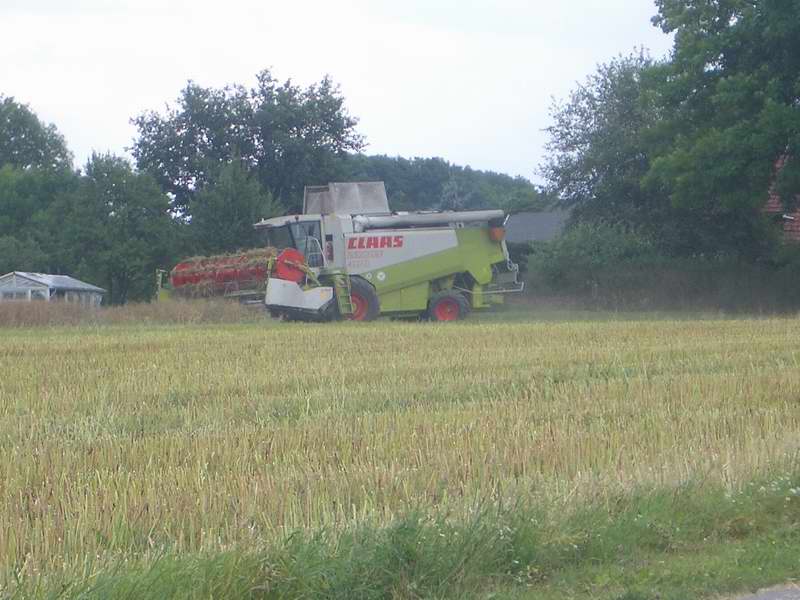 lexion_31.jpg