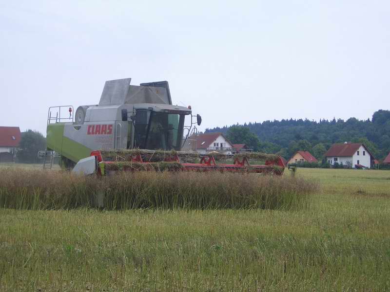 lexion_32.jpg