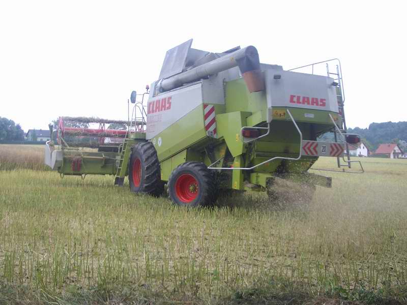 lexion_35.jpg