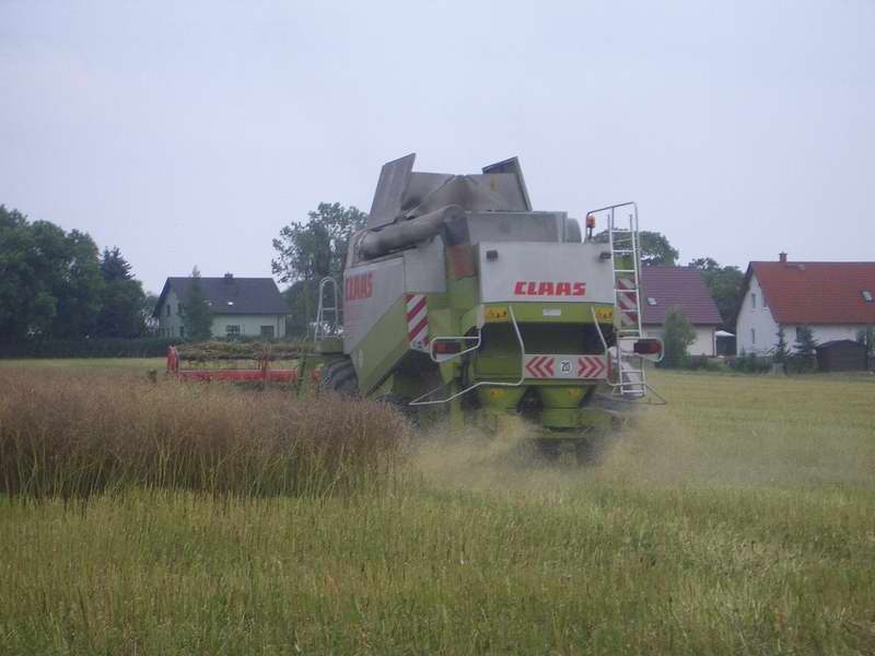 lexion_36.jpg