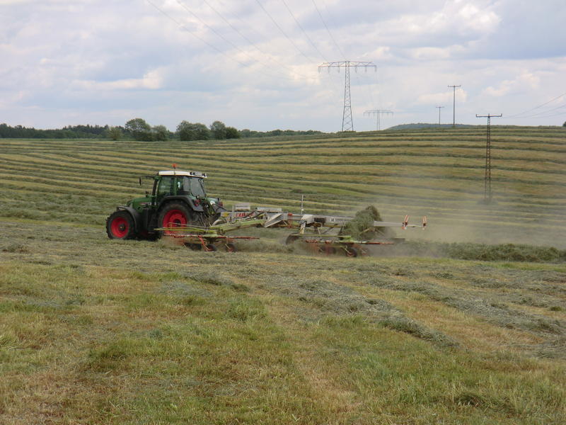 bilder/22_8_2005/lexion_fendt_8.jpg