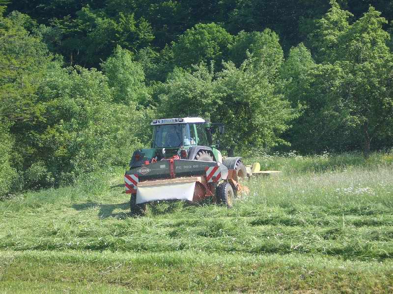 bilder/29_5_2005/fendt_818_2.jpg