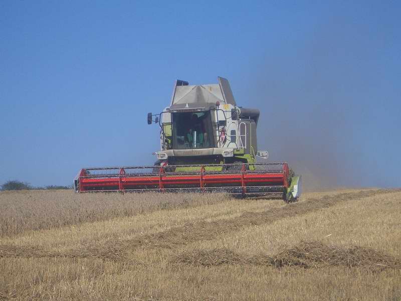 lexion_10.jpg