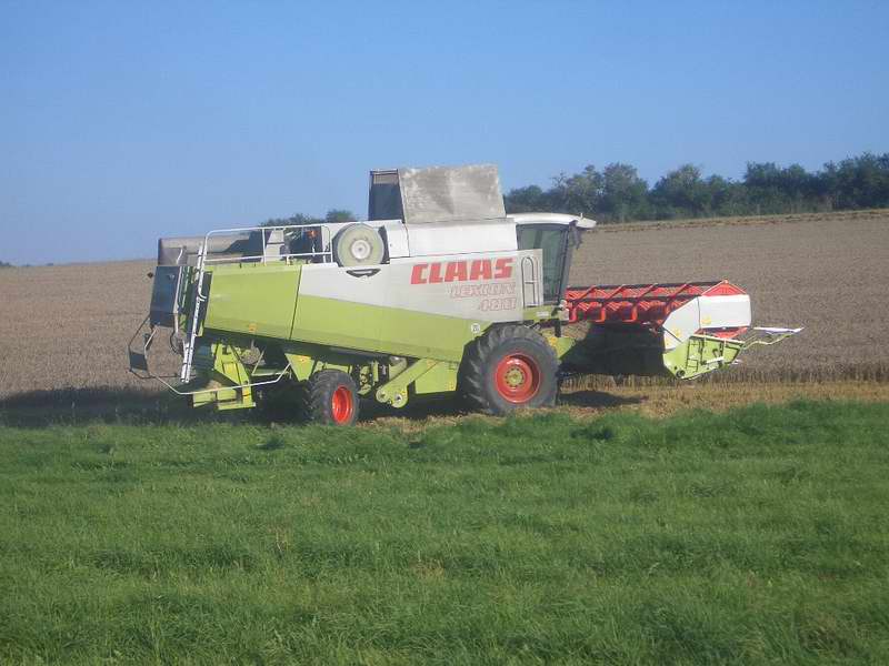 lexion_19.jpg