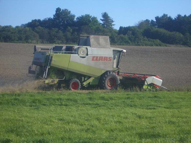 lexion_20.jpg