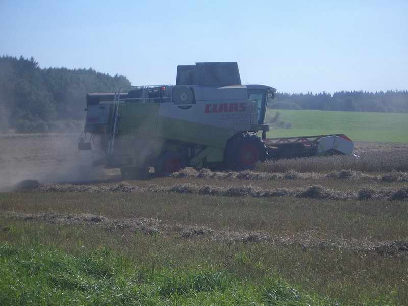 lexion_4.jpg