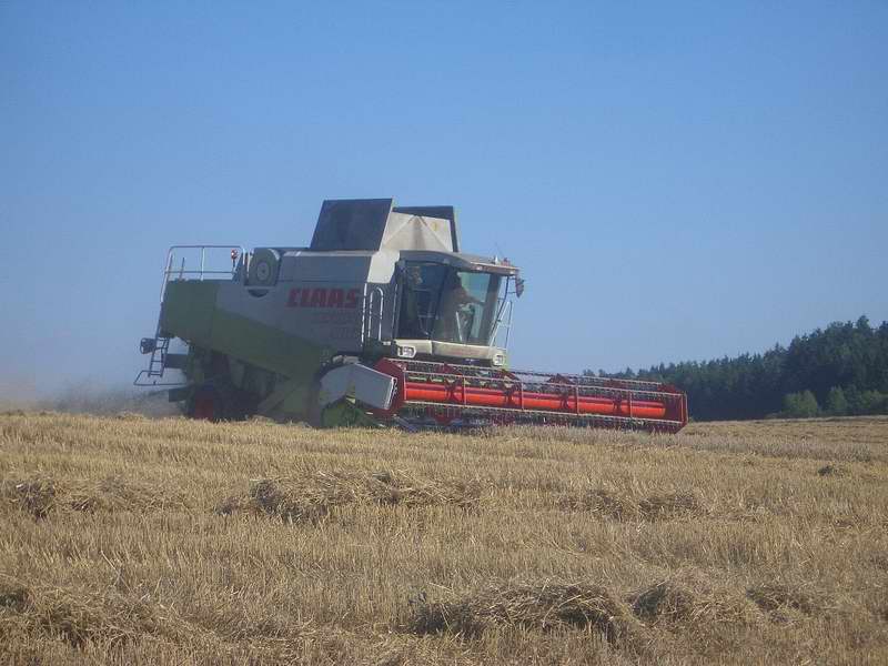 lexion_5.jpg