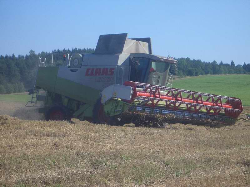 lexion_6.jpg