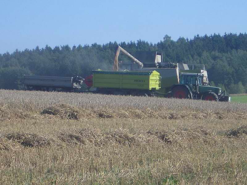 lexion_fendt.jpg