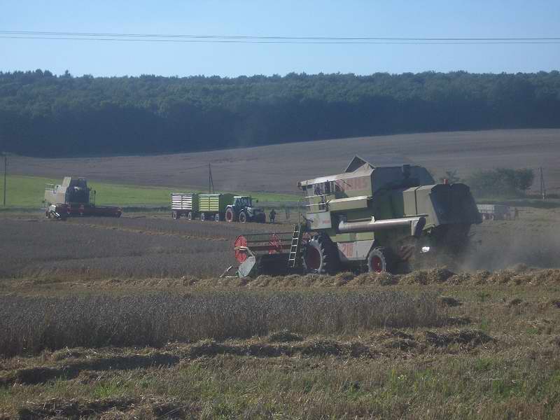 lexion_mega_fendt_2.jpg