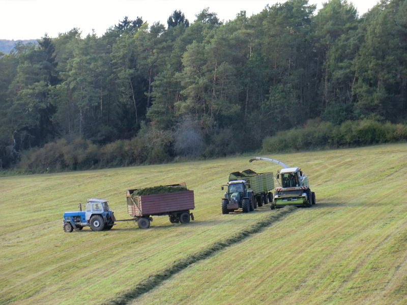 bilder/24_5_2005/fendt_716_5.jpg