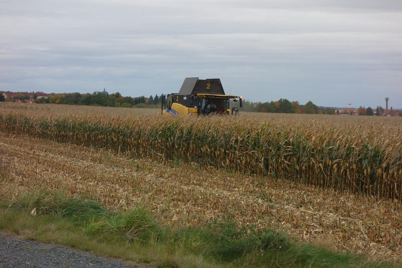 bilder/31_3_2005/fendt_818_18.jpg