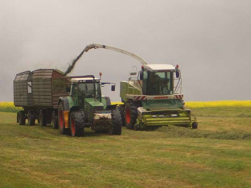 jaguar_fendt_824_15.jpg